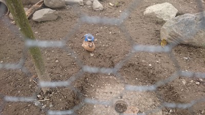 zoo