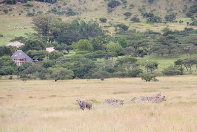 Photos of Umdende Hunting Safaris
