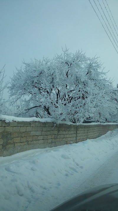 Photos of Kagızman Stadı
