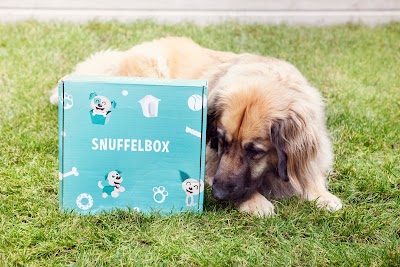 Photos of Snuffelbox B.V.