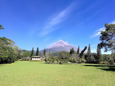 Photos of Finca El Zapote