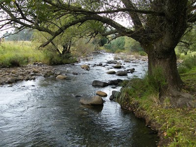 Photos of Silverstreams Caravan Park