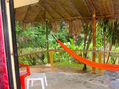 Photos of Ecological 'Jurassic' Park Retreat