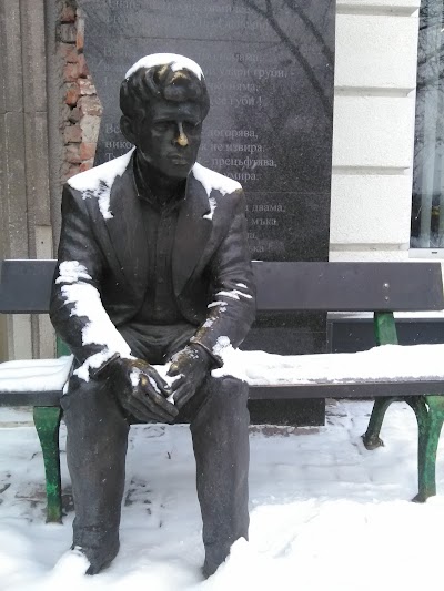 Photos of Home - Museum "Penyo Penev"