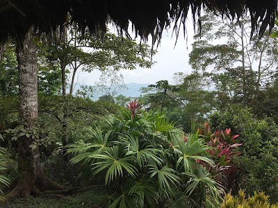 Photos of Pacific Journeys
