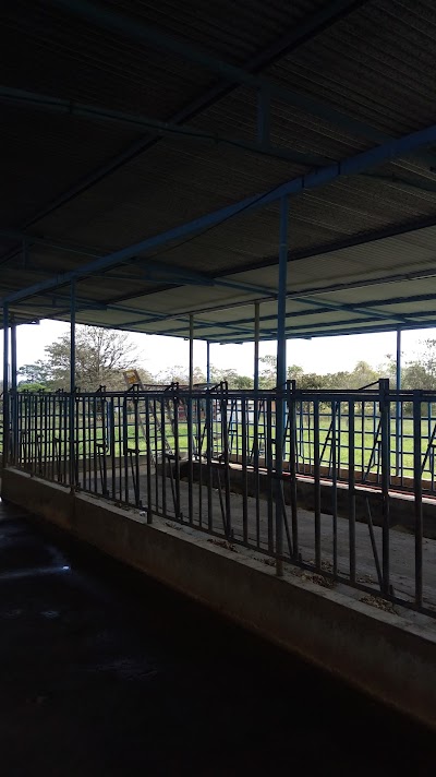 Photos of Hotel Vale's