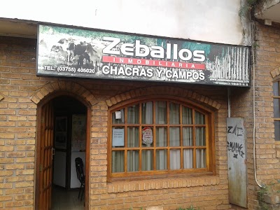 real-estate-agency