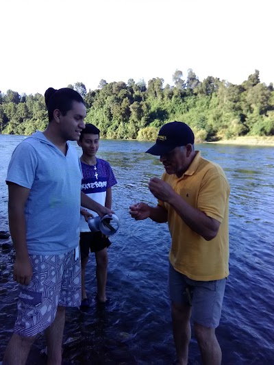 Photos of Parque Costanera
