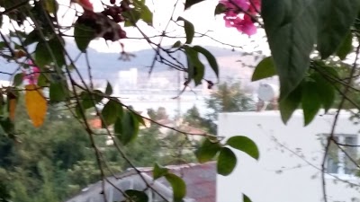 Photos of Apartman VIVA V
