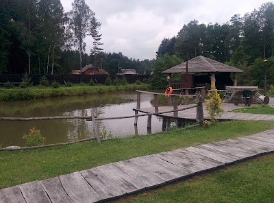 Photos of "Forest Ring