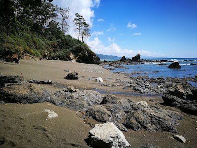 Photos of Golfo Dulce Dart Tour