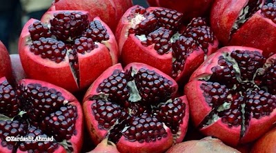 Photos of بيشكان