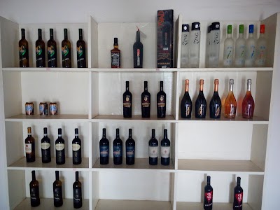 Photos of Non Solo Vino Ltd