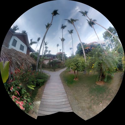 Photos of Hotel Casa Robinson