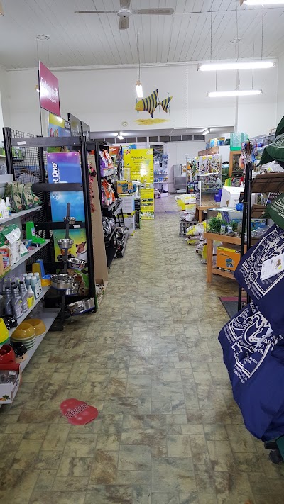 Photos of The Pet Palace