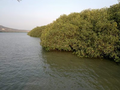 Photos of Heart Island
