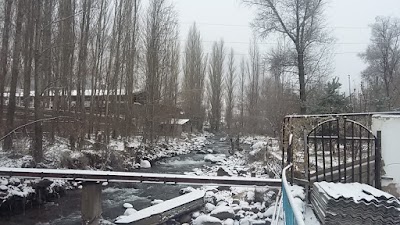 Photos of Языковой центр "Opportunity"