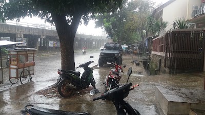 Photos of Pane pematang. CV