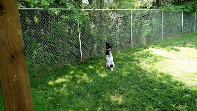 Photos of Lucky Paws Pet Resort