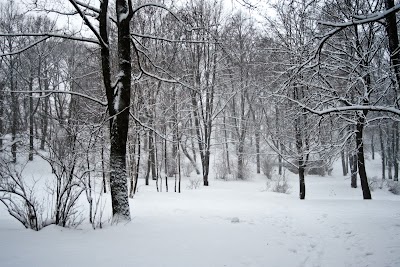 Photos of "Dauderi", Latvijas Nacionālā vēstures muzeja nodaļa