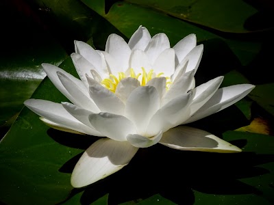 Photos of Dunkeld Arboretum