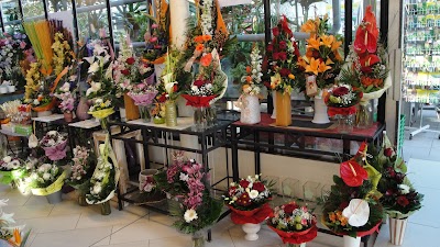 Photos of Blumen Mayer