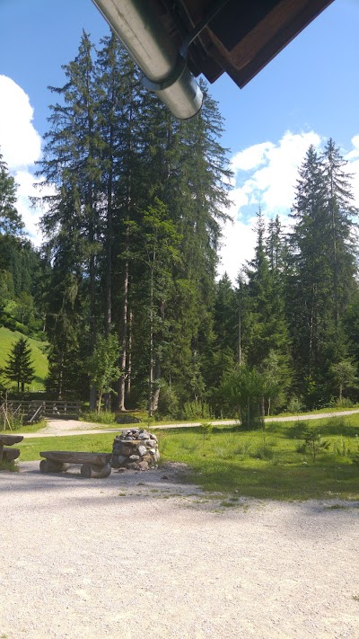 Photos of Hochseilpark Altenmarkt