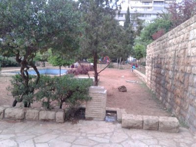 Photos of Hassan Khaled Park