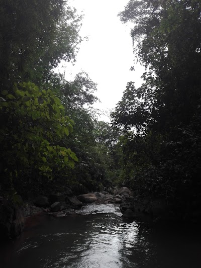 Photos of Hospedaje El Bosquecito