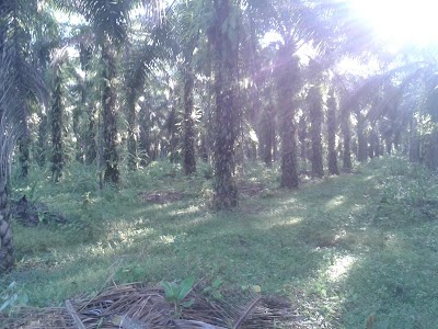 Photos of La Colina