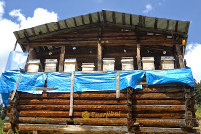 Photos of Organik Kestane Balı - Bor&ccedil;ka - Enerjibal