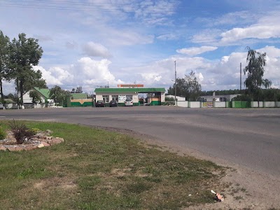 Photos of Chastnoye Predpriyatiye "Biznes Promo Plyus"