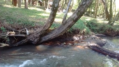 Photos of Camping Don Juan