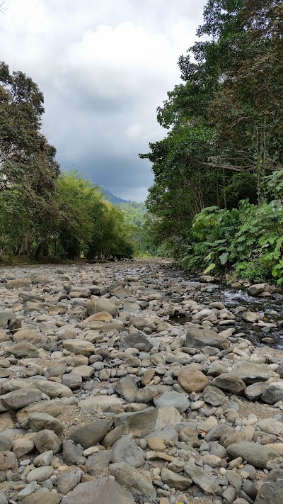 Photos of Manoas