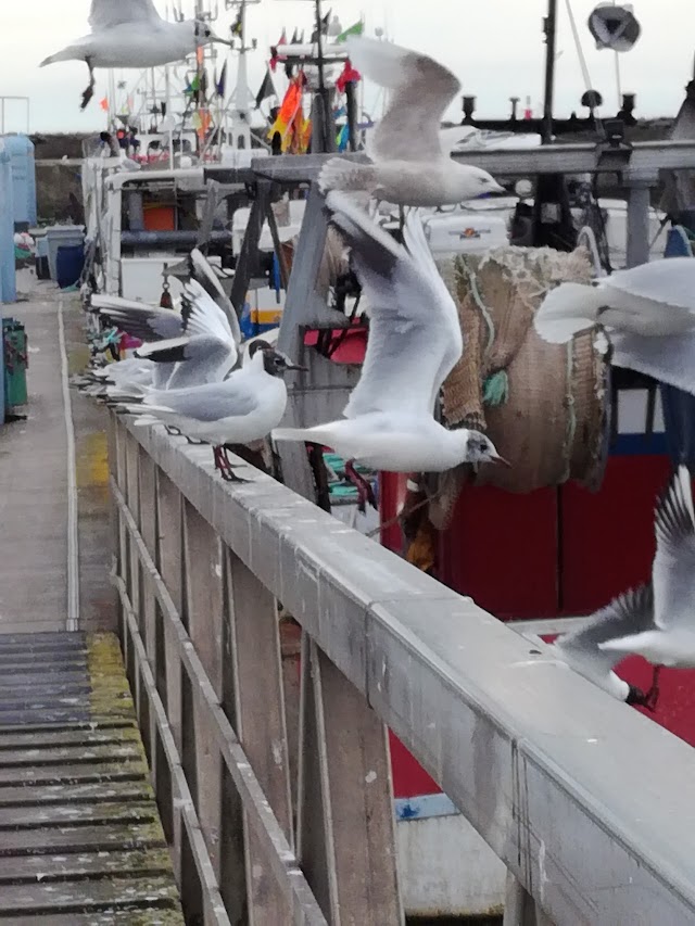 Comptoir de La Mer