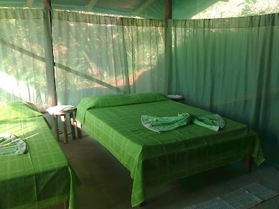 Photos of Isla Violin Eco-Lodge