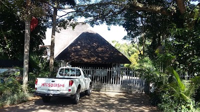 Photos of African Ambience
