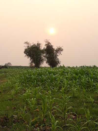 Photos of Chouk Pagoda