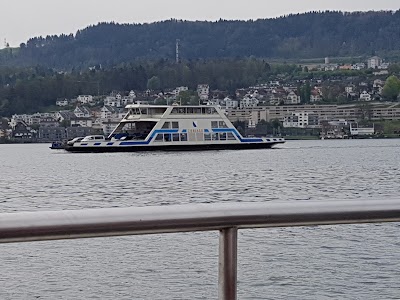 Photos of Horgen F&auml;hre