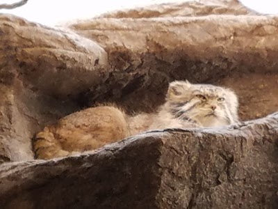Photos of Prospect Park Zoo