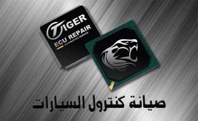 Photos of Tiger Ecu Repair