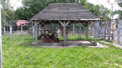 Photos of Zoosad