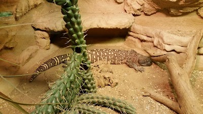 Photos of Tropicario - Trooppinen El&auml;intalo