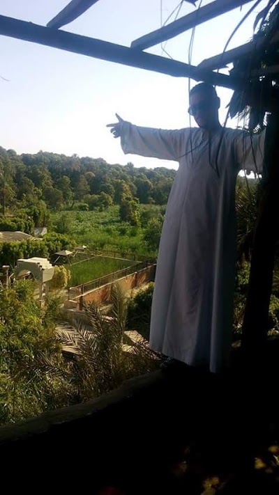 Photos of مخييم عين السليين