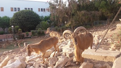 Photos of Vall&eacute;e des oiseaux Agadir