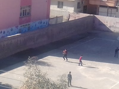 school