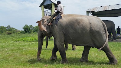 zoo