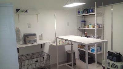 veterinary-care