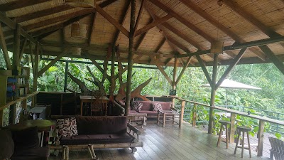 Photos of Finca Bellavista Treehouse Community
