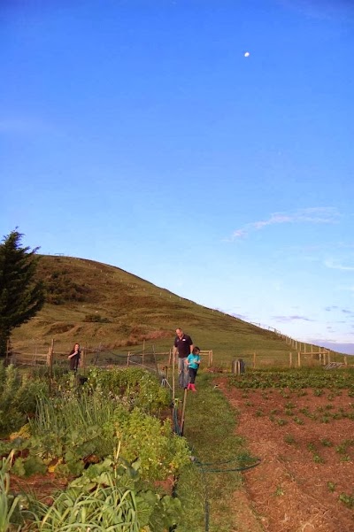 Photos of Aire Valley Guest House